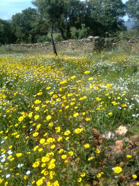 Talaván Casa Rural La Brena 게스트하우스 외부 사진