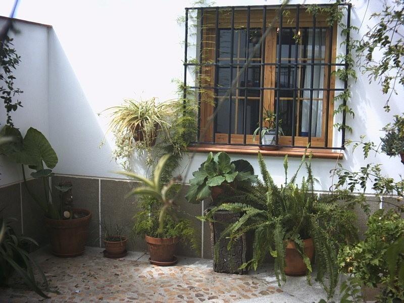 Casa Rural La Brena Talaván 외부 사진