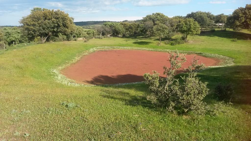 Casa Rural La Brena Talaván 외부 사진
